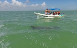 Excursion à Sian Kaan en français