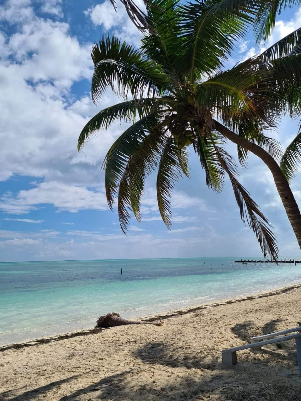 Excursion à Sian Kaan en français