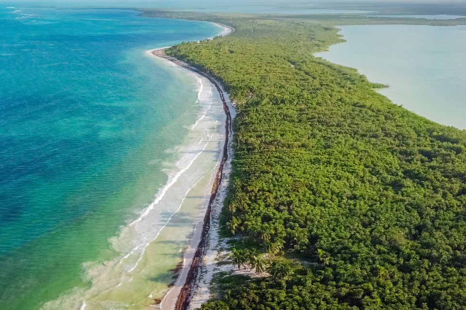 Pourquoi Sian Ka’an est un refuge majeur pour la biodiversité mexicaine ?